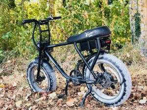 fat bike electriques 1